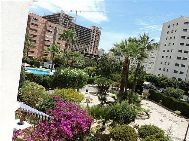 Apartamento en Benidorm