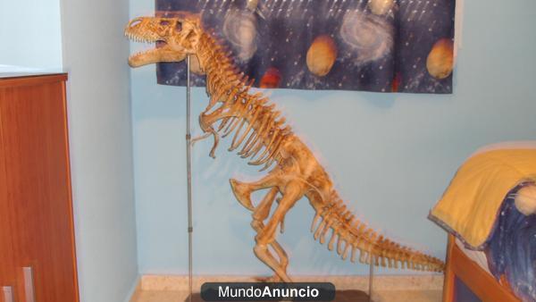 esqueleto de dinosaurio red