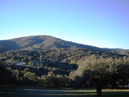 Finca de encinas posibilidad de edificar sierra de tentudia