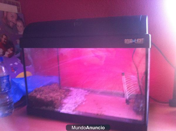 ACUARIO AQUA-LIGHT + REGALO 2 TRITONES COCODRILO