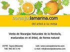 Naranjas la Marin - mejor precio | unprecio.es