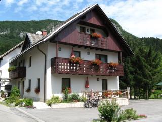 Apartamento en villa : 2/27 personas - carniole  eslovenia