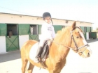 Aprende a montar a caballo! CLASES DE HÍPICA - mejor precio | unprecio.es