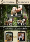 cachorros de bulldog ingles linea merriveen - mejor precio | unprecio.es