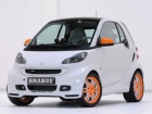 Spoiler Delantero Smart Fortwo 451 BRABUS - mejor precio | unprecio.es