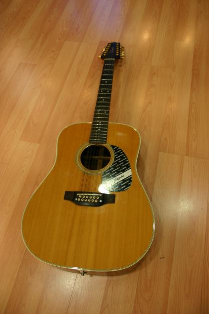 Vendo Guitarra Takamine 12 cuerdas