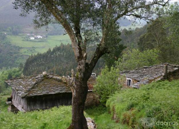 Aldea granja en el Valle de Eo, 4 casas,horreo,anexos y 1 há de terreno, oportunidad