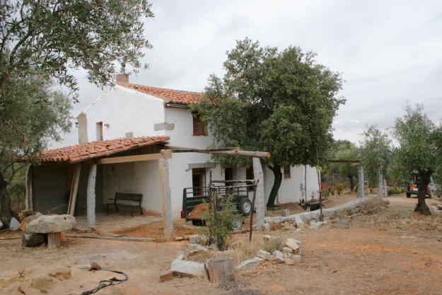 FINCA CON 500 OLIVOS ECOLOGICOS Y CORTIJO RESTAURADO (ESPIEL)