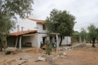 FINCA CON 500 OLIVOS ECOLOGICOS Y CORTIJO RESTAURADO (ESPIEL) - mejor precio | unprecio.es