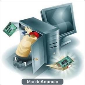 INFORMATICO ONLINE Y DOMICILIO