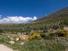 Terreno se vende en Periana, Axarquia - mejor precio | unprecio.es