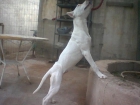 se venden caxorros pittbull red i black nouse - mejor precio | unprecio.es