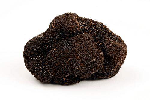 VENTA DE TRUFAS  (AESTIVIUM - UNCINATUM - MAGNATUM - BRUMALE)