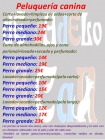 Peluqueria canina - mejor precio | unprecio.es