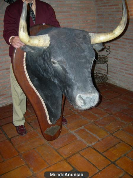 cabeza de toro Antoñete retirada 1985