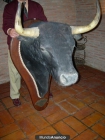cabeza de toro Antoñete retirada 1985 - mejor precio | unprecio.es