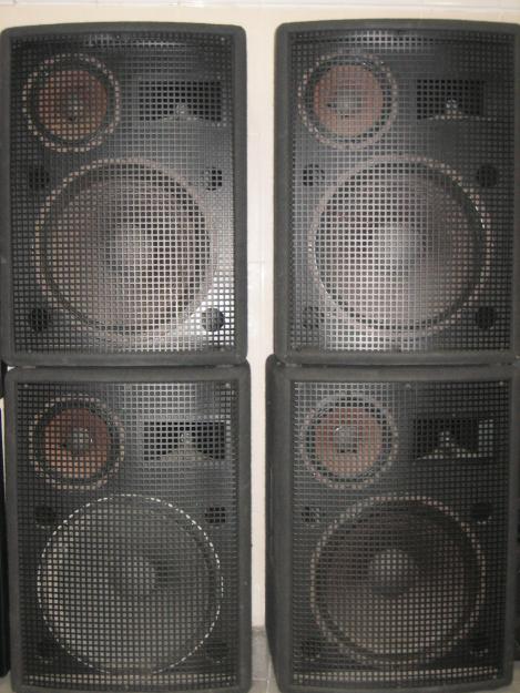 Bafles profesionales Work 450W RMS