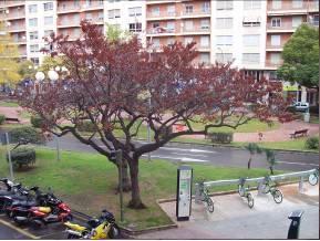 Piso en Castellón de la Plana/Castelló de la Plana