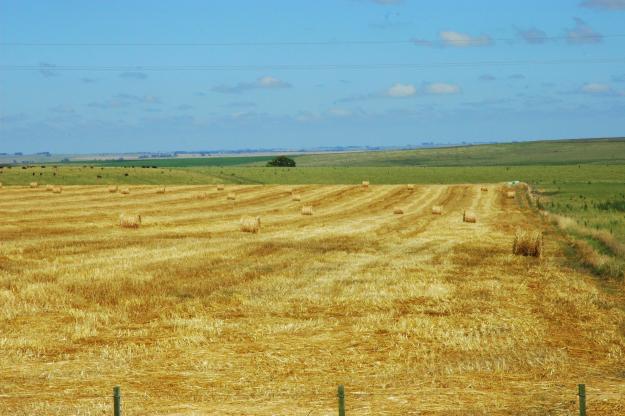 VENTA de Campo en URUGUAY-- 15.000 hectáreas ---