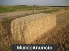 Vendo paja - mejor precio | unprecio.es
