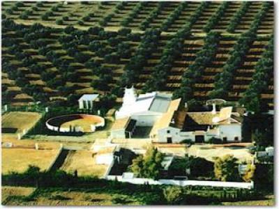 8b  , 4ba   in Antequera,  Costa del Sol   - 795000  EUR