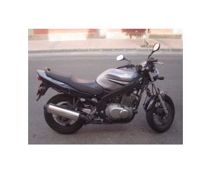 SUZUKI GS 500