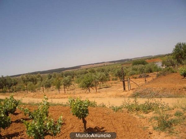 VENDO PARCELA EN CHUCENA (HUELVA)