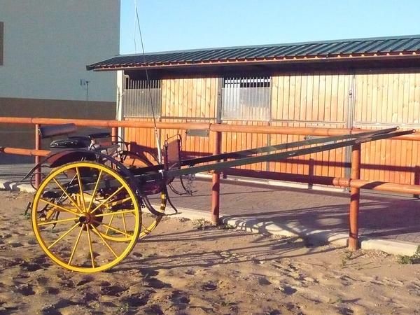 SE VENDE COCHE DE CABALLOS. PRECIOSO.