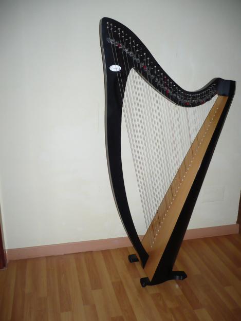 Vendo arpa celta