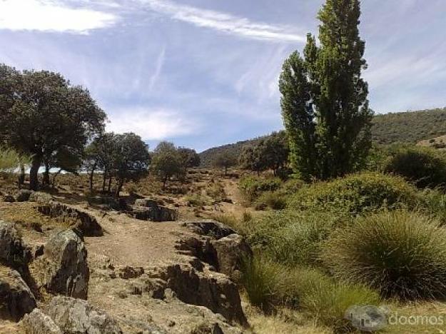 Finca 25.000m2 proxima a TALAVERA DE LA REINA con ENCINAS y PERMISO PARA CONSTRUIR por solo 18.000€