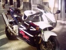 CBR 954 RR FIREBLADE