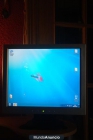 Monitor17 \" TFT IMAX - mejor precio | unprecio.es