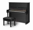 Pianos Bosendofer para España - mejor precio | unprecio.es