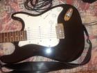 30 euros + Guitarra Eléctrica por un Husky o Alaskan Malamute(hay otra oferta) - mejor precio | unprecio.es