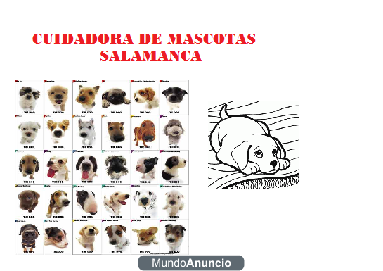 PASEO Y CUIDO ANIMALES