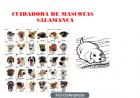 PASEO Y CUIDO ANIMALES - mejor precio | unprecio.es