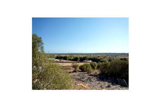 Finca En Venta en Ses Salines, Mallorca