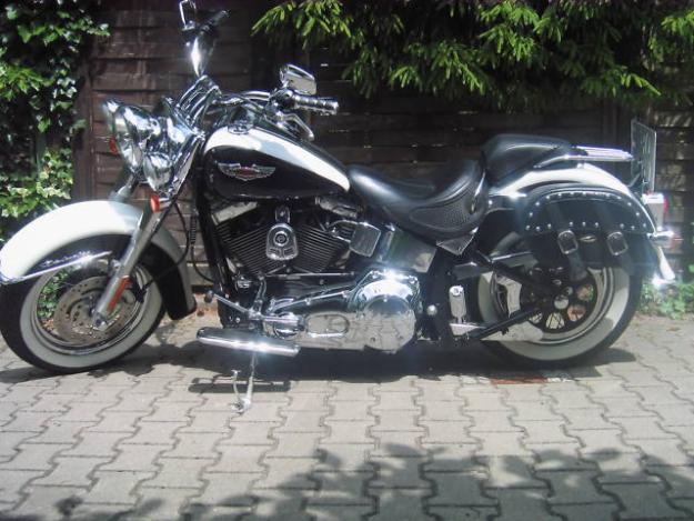 Harley Davidson FLSTNI
