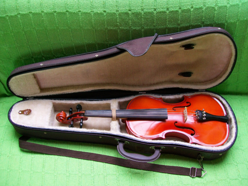 Violin mas funda