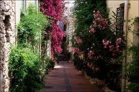 Estudio : 2/2 personas - antibes  alpes maritimos  provenza-alpes-costa azul  francia