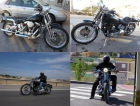 Harley davidson softail springer 1340cc 1994 - mejor precio | unprecio.es