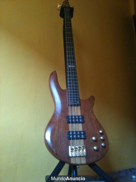 BAJO ESP LTD