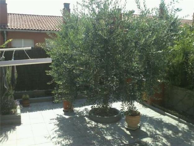 Casa en Terrassa