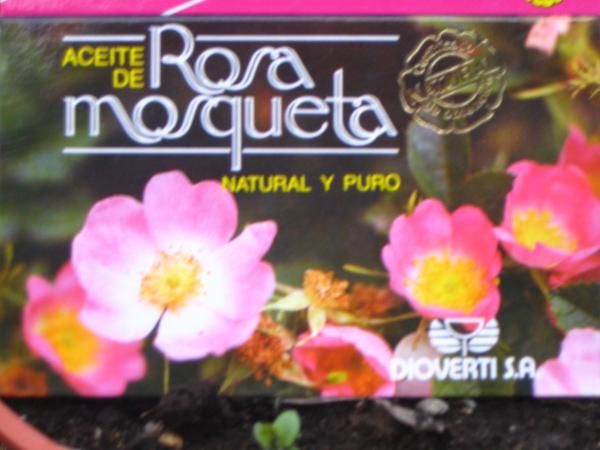 Aceite y Cosmètica de Rosa Mosqueta