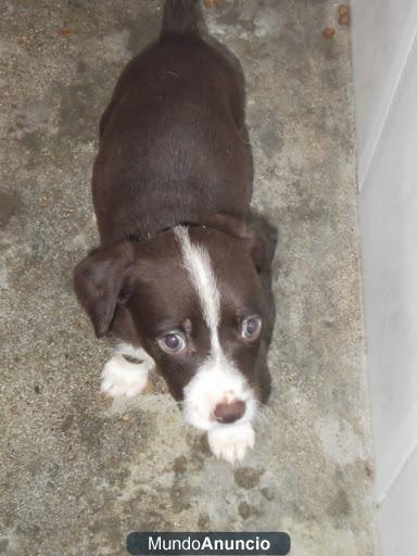 Bebe se ira de este mundo habiendo conocido solo una jaula