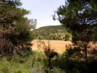 Finca/Casa Rural en venta en Valderrobres, Teruel