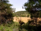 Finca/Casa Rural en venta en Valderrobres, Teruel - mejor precio | unprecio.es