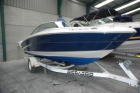 Embarcación Sea Ray 190BR - mejor precio | unprecio.es