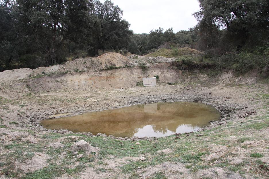 Finca de recreo 550 has en el valle del tiétar - toledo