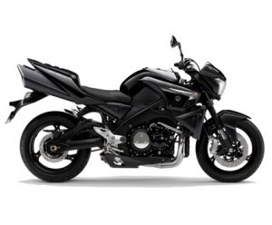 SUZUKI B-KING